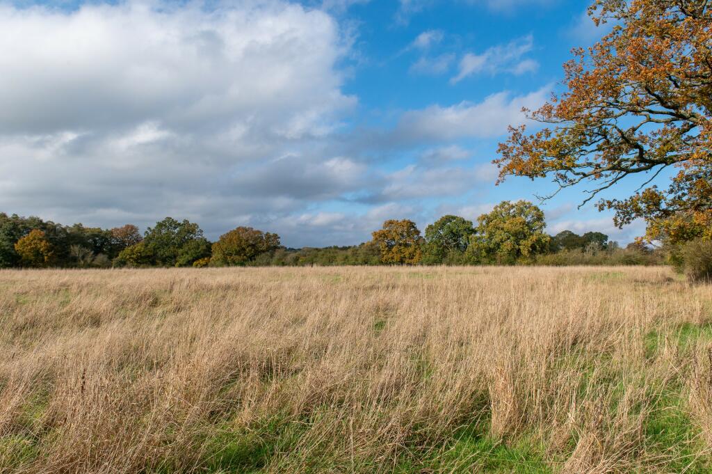Additional image 34 of Beoley Equestrian Centre, Icknield Street,  Beoley, Redditch, Worcestershire, B98