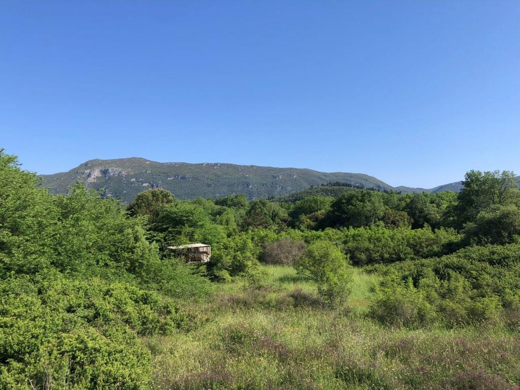 Additional image 2 of Ionian Islands, Corfu, Greece