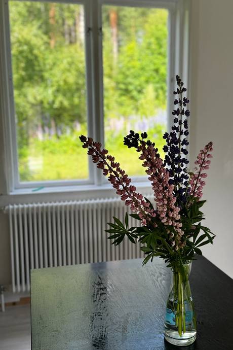 Additional image 3 of Stennäs 10, Bjurholm, Bjurholms kommun