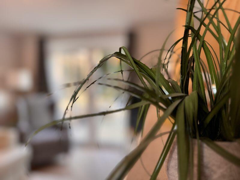 Additional image 25 of Bradgate Drive, Four Oaks, Sutton Coldfield, B74 4XG