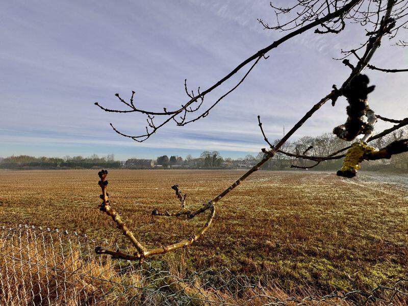 Additional image 16 of Little Aston Lane, Sutton Coldfield, B74 3UF