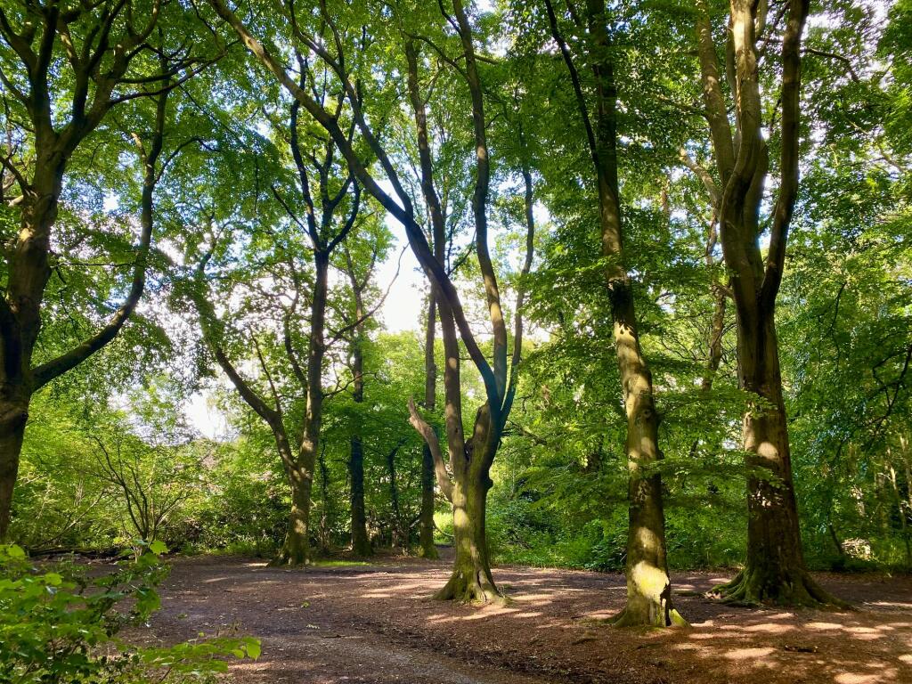 Additional image 20 of Seven Star Road, Solihull, B91