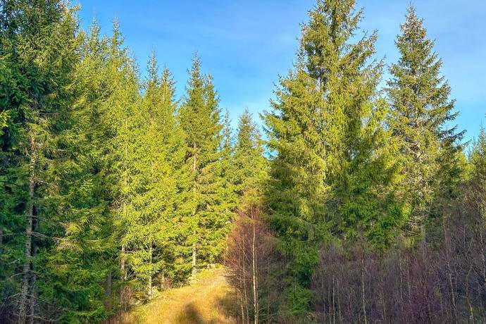 Additional image 2 of Ulvared 1:3, Grovare - Hökerum, Ulricehamn Municipality