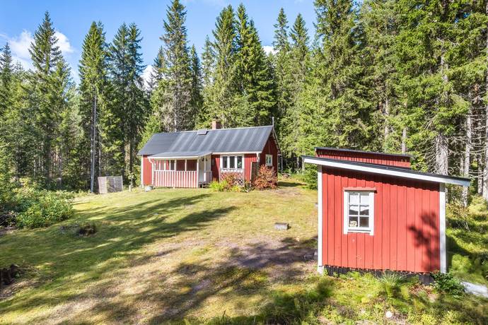 Additional image 2 of En plats skogen