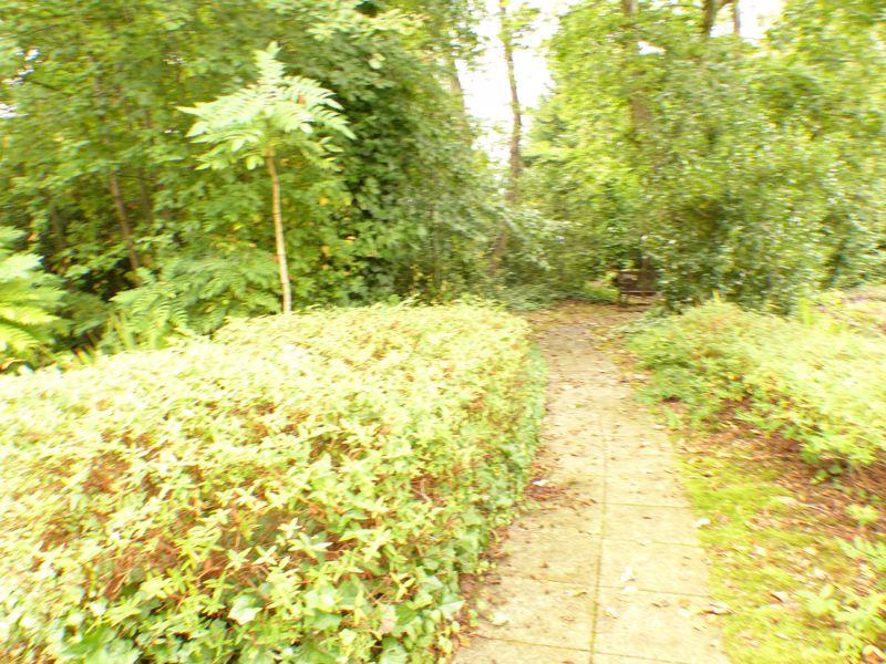 Additional image 14 of Church Road, Sutton Coldfield