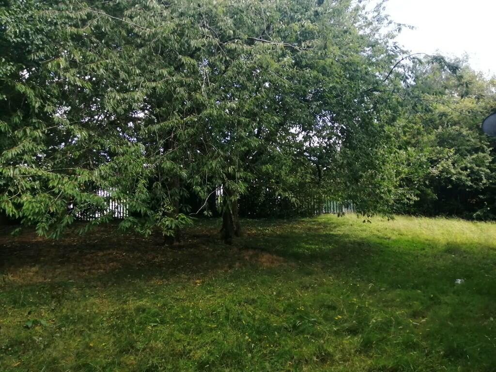 Additional image 10 of Salstar Close, Aston, Birmingham, B6 4PP