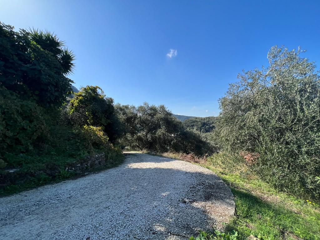 Additional image 3 of Episkepsi, Corfu, Ionian Islands, Greece