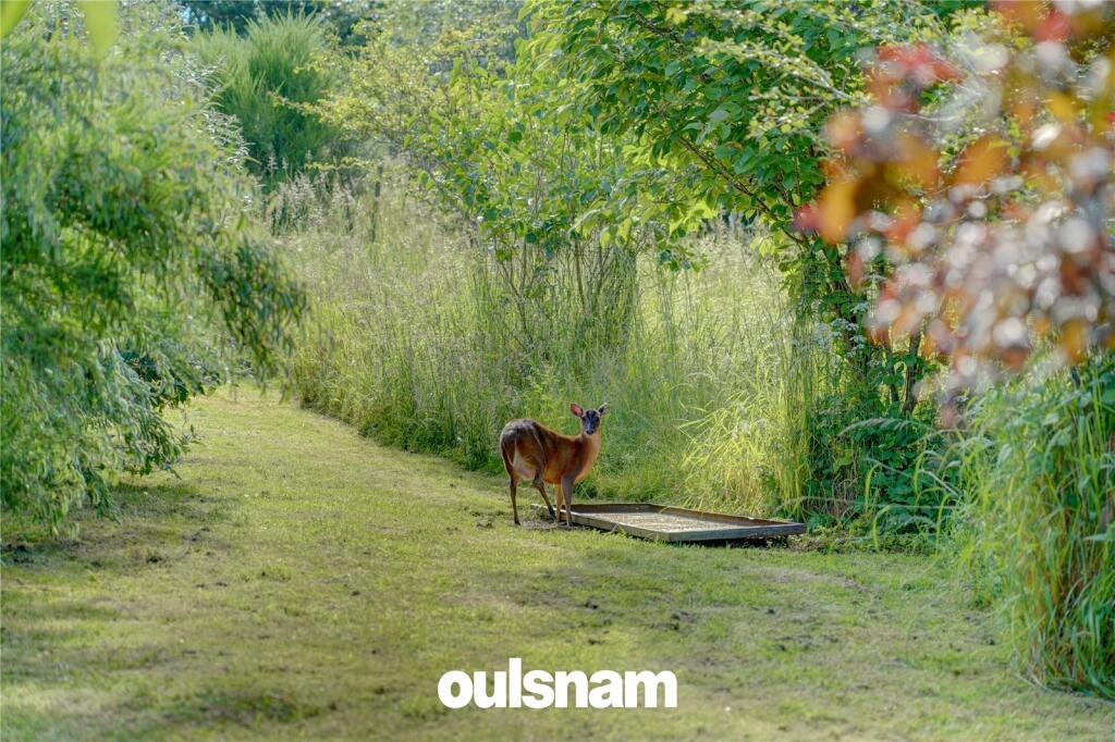 Additional image 21 of Lickey Rock, Marlbrook, Bromsgrove, Worcestershire, B60