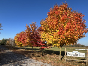 Additional image 2 of 2435 Elm Tree Rd