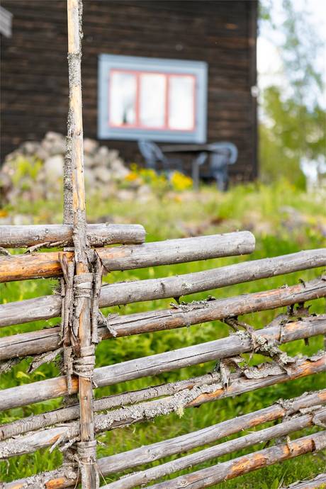 Additional image 3 of Tansas gattu 8