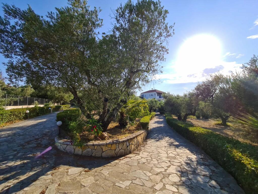 Additional image 3 of Ionian Islands, Zante, Planos, Greece