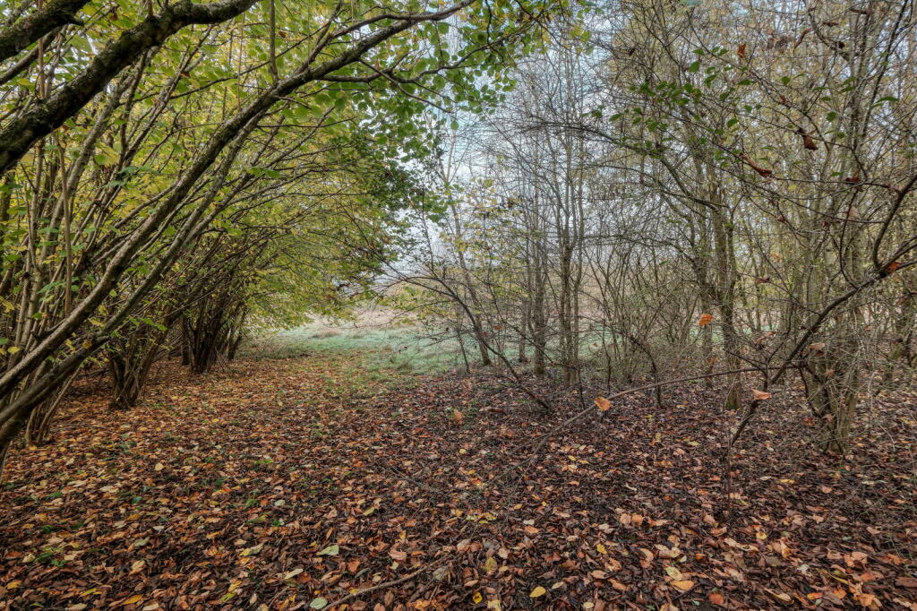 Additional image 21 of Droitwich Road, Feckenham, Redditch B96 6RU