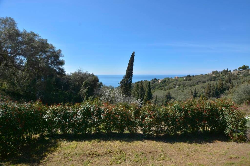 Additional image 3 of Pelekas, Corfu, Ionian Islands, Greece