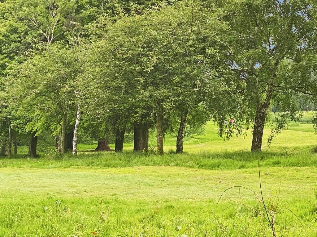 Additional image 16 of Ashford Drive, Walmley