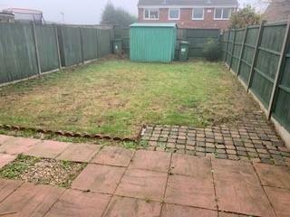 Additional image 4 of 42 Brookweed