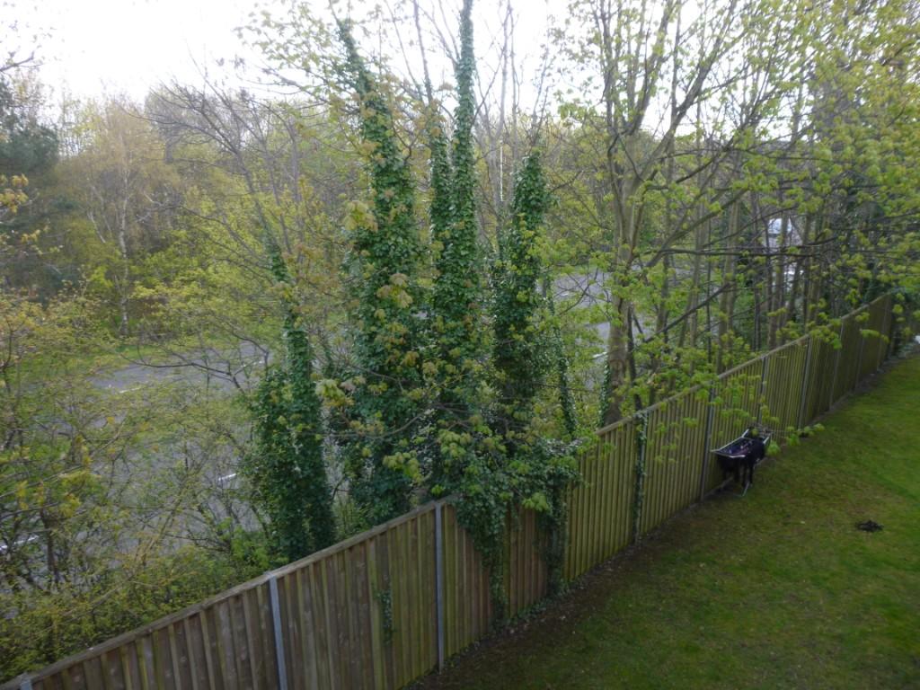 Additional image 8 of Princes Gate, West Bromwich, West Midlands, B70 6HU