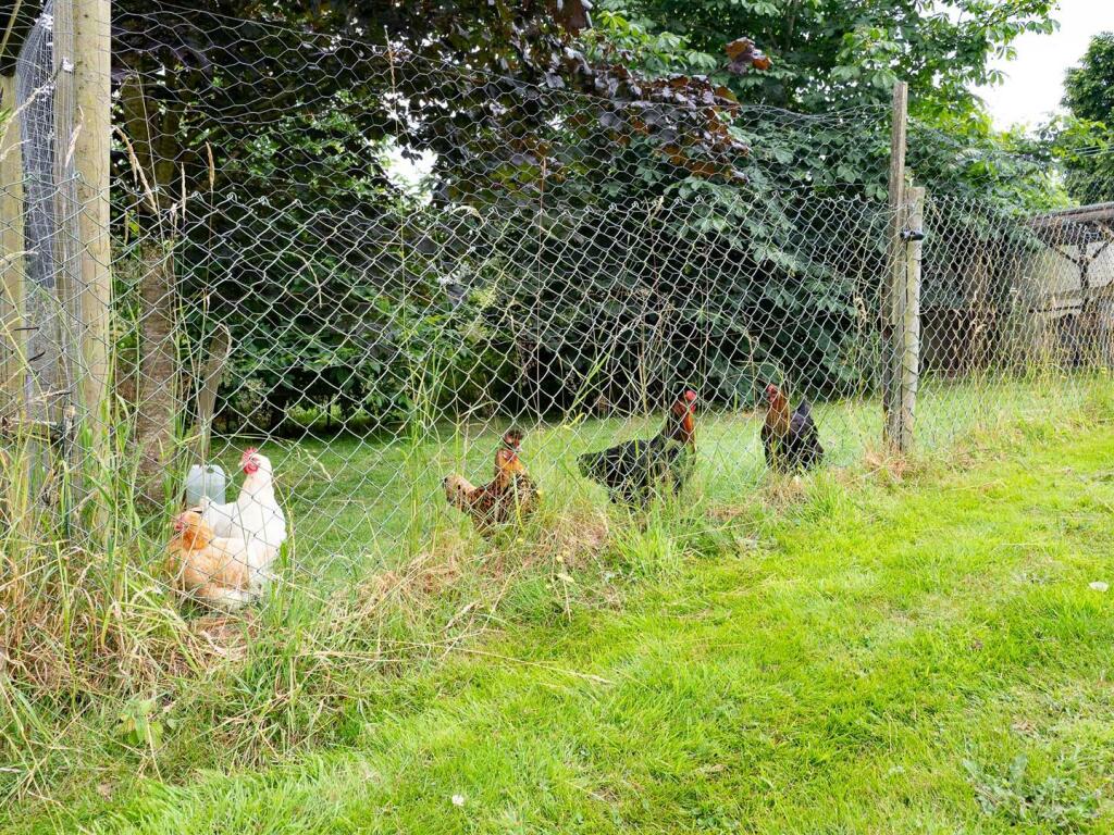 Additional image 39 of Wixford, Alcester