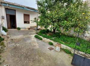 Additional image 3 of Center, Thrapsano (Heraklion Prefecture)