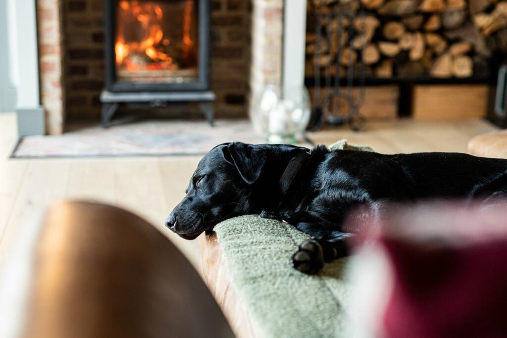 Additional image 19 of Mill Lane, Beckington, BA11