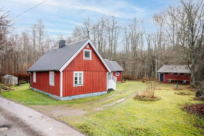 Additional image 2 of Bjärnums skog 3007