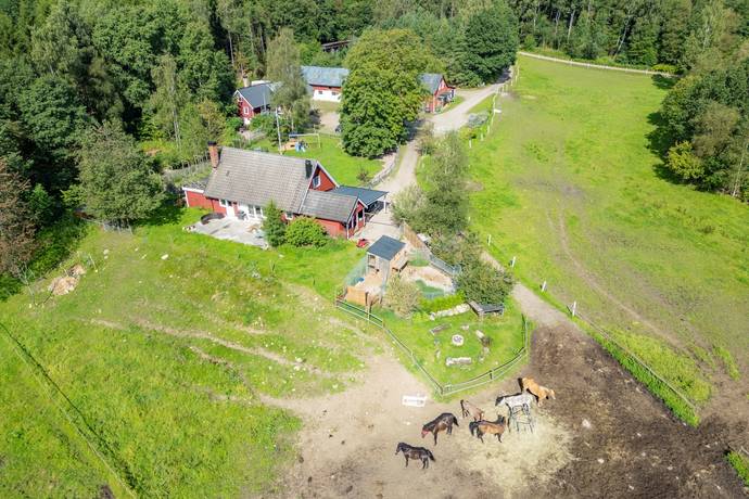 Additional image 3 of Öppinge Ängamossen 719