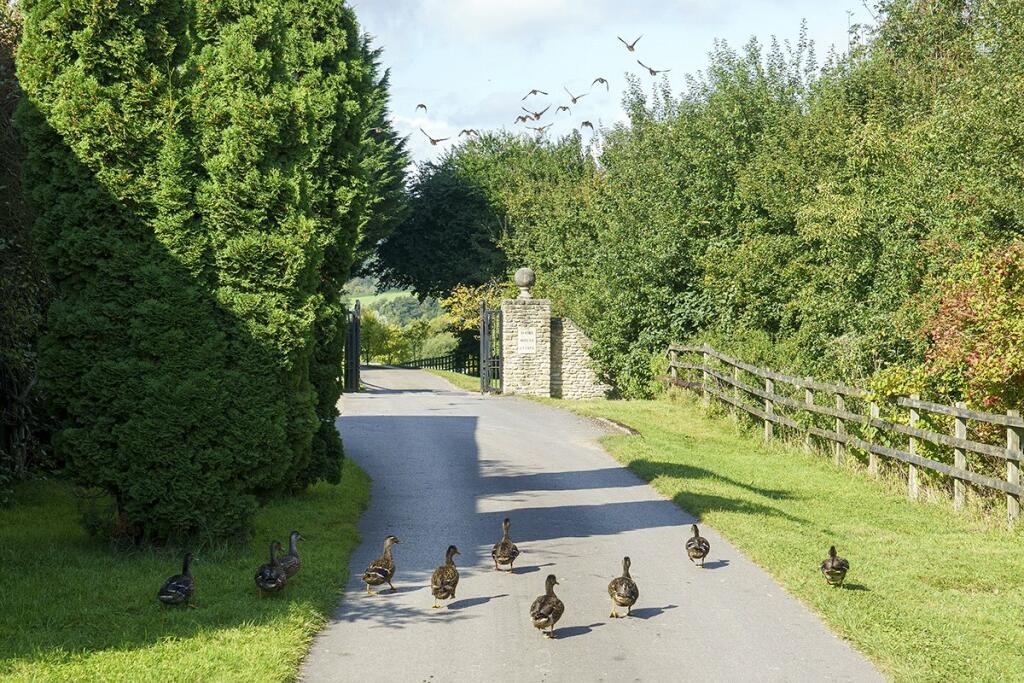 Additional image 3 of Dairy House Estate, Stubbs Lane, Beckington, Frome, BA11