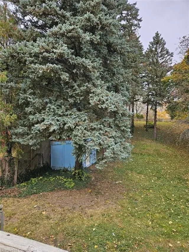 Additional image 8 of 1154 Queens Blvd