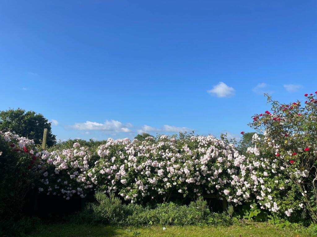 Additional image 14 of High Street, Chapmanslade, Westbury, BA13