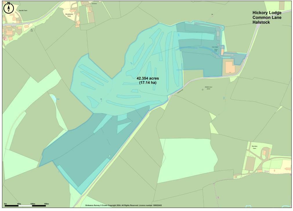 Additional image 26 of Halstock, Dorset