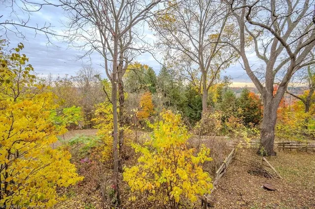 Additional image 48 of 57 Tinatawa Crt