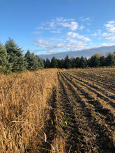 Additional image 4 of 4816 Rd 164