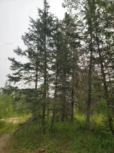 Additional image 4 of 13-2-35982 Sandstone Crescent