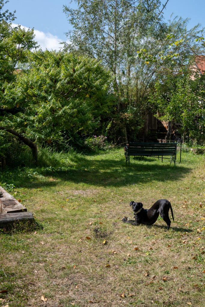 Additional image 29 of Lower Keyford, Frome, Somerset
