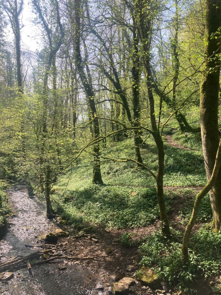 Additional image 4 of Near Wells, Somerset