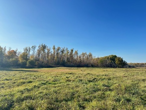 Additional image 2 of PT LT 24 CON 7 CORNWALL