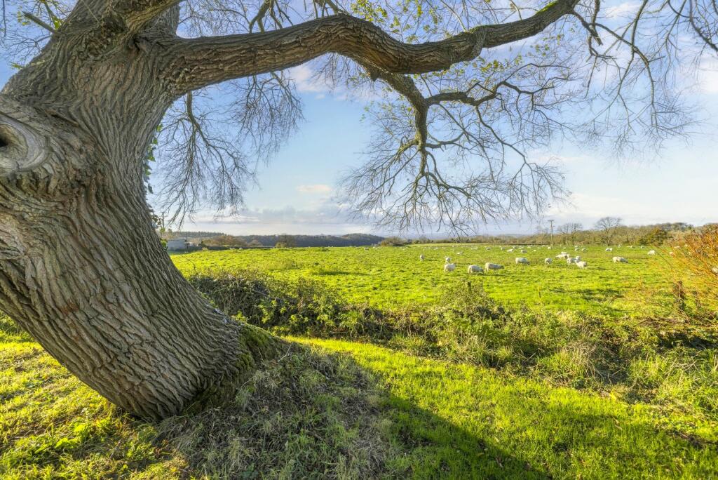 Additional image 25 of East Horrington, Wells