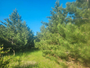 Additional image 3 of Lot 8, Pine Meadow Trail