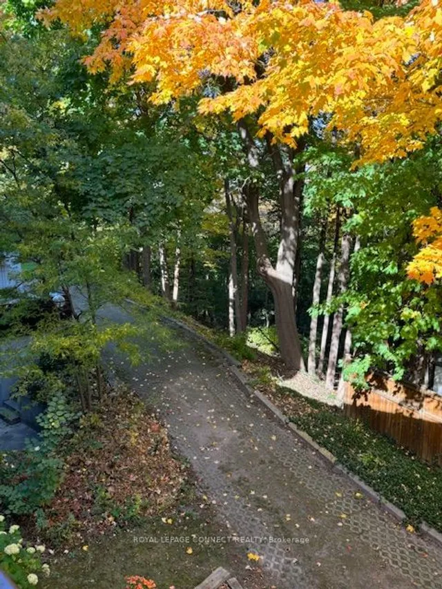 Additional image 5 of 50 Old Kingston Rd Unit 5-213