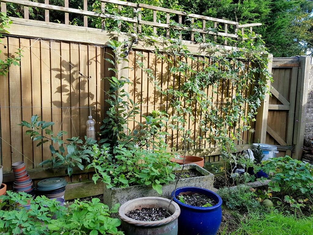 Additional image 16 of White Mead, YEOVIL