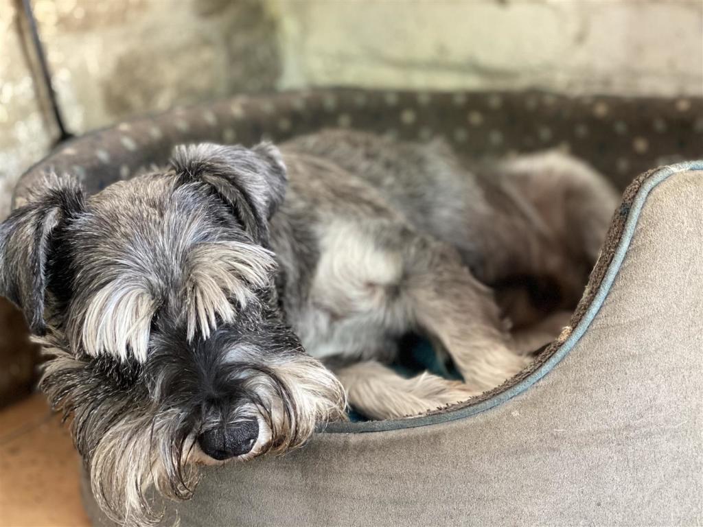 Additional image 4 of 8 Hisomley, Dilton Marsh, Westbury