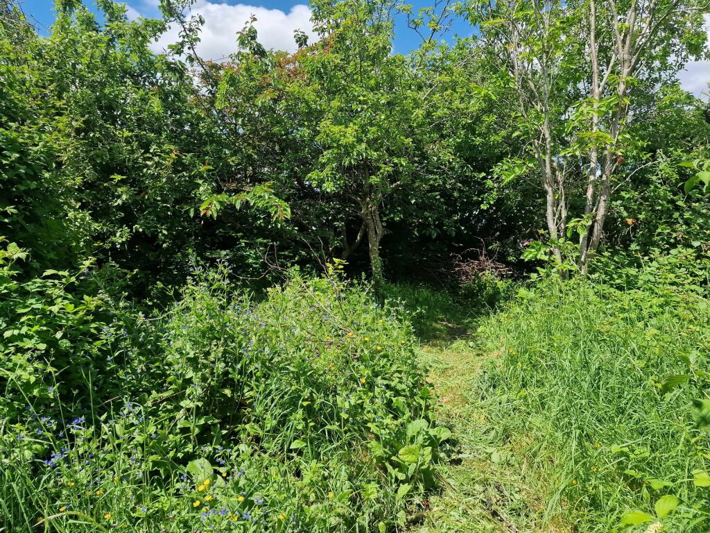 Additional image 14 of West Coker Road, Yeovil, Somerset