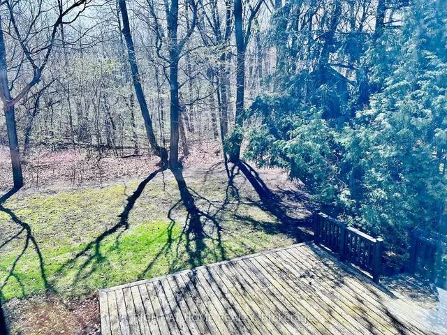 Additional image 23 of 23 Christine Cres