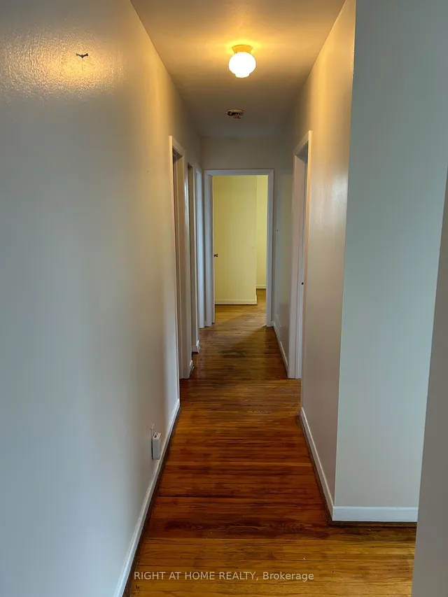 Additional image 13 of 65 Primula Cres