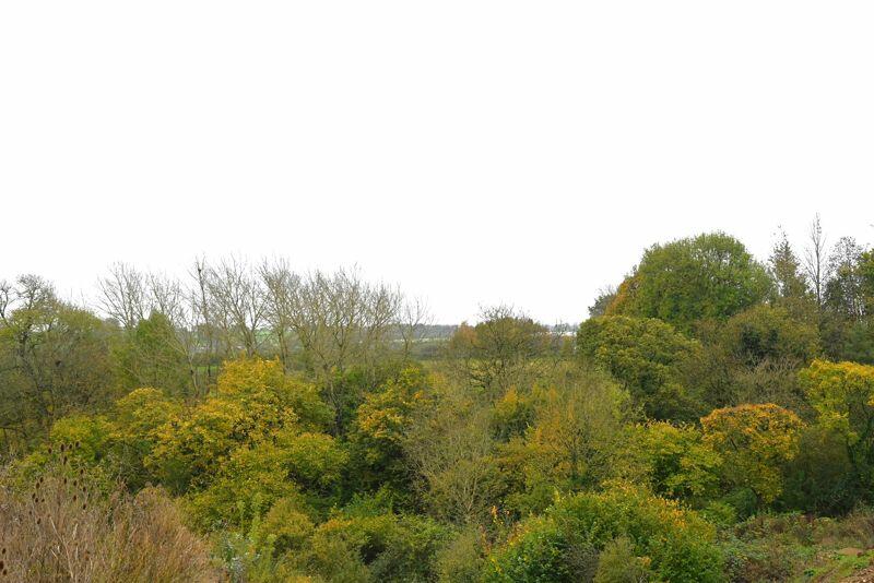 Additional image 8 of Cobblers Way, Westfield, Radstock