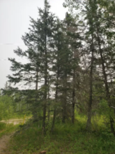 Additional image 2 of 13-2-35982 Sandstone Crescent