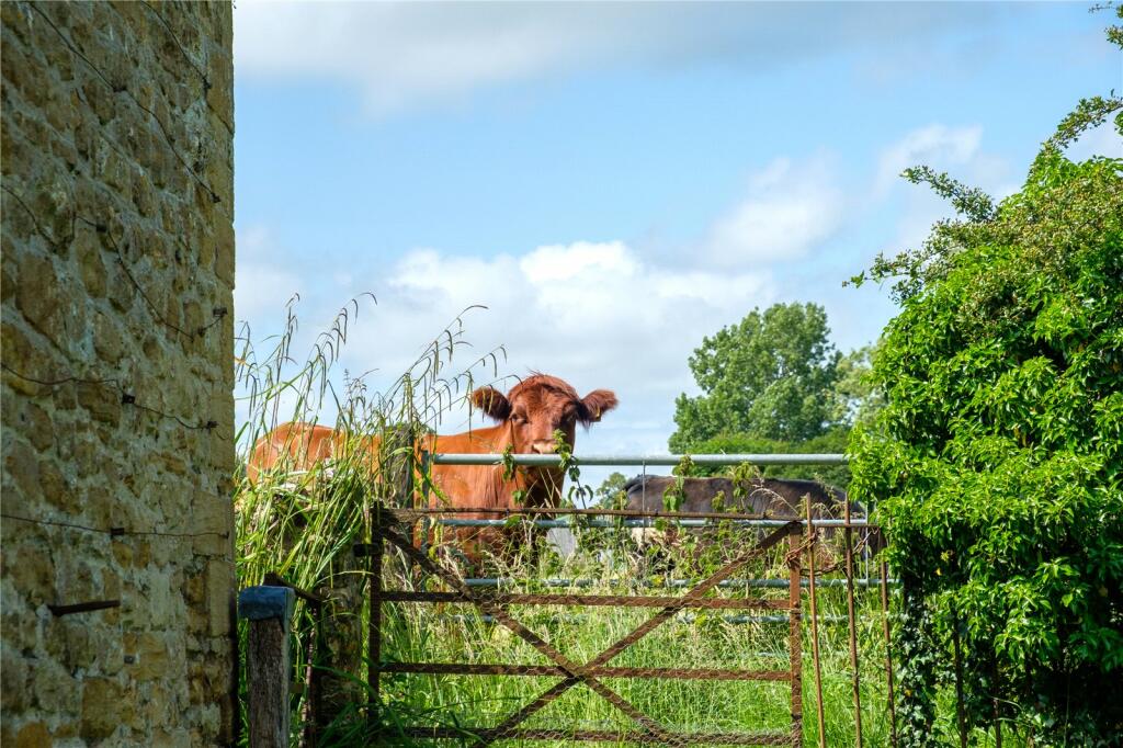 Additional image 25 of High Street, West Coker, Somerset, BA22