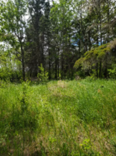 Additional image 3 of 13-2-35982 Sandstone Crescent