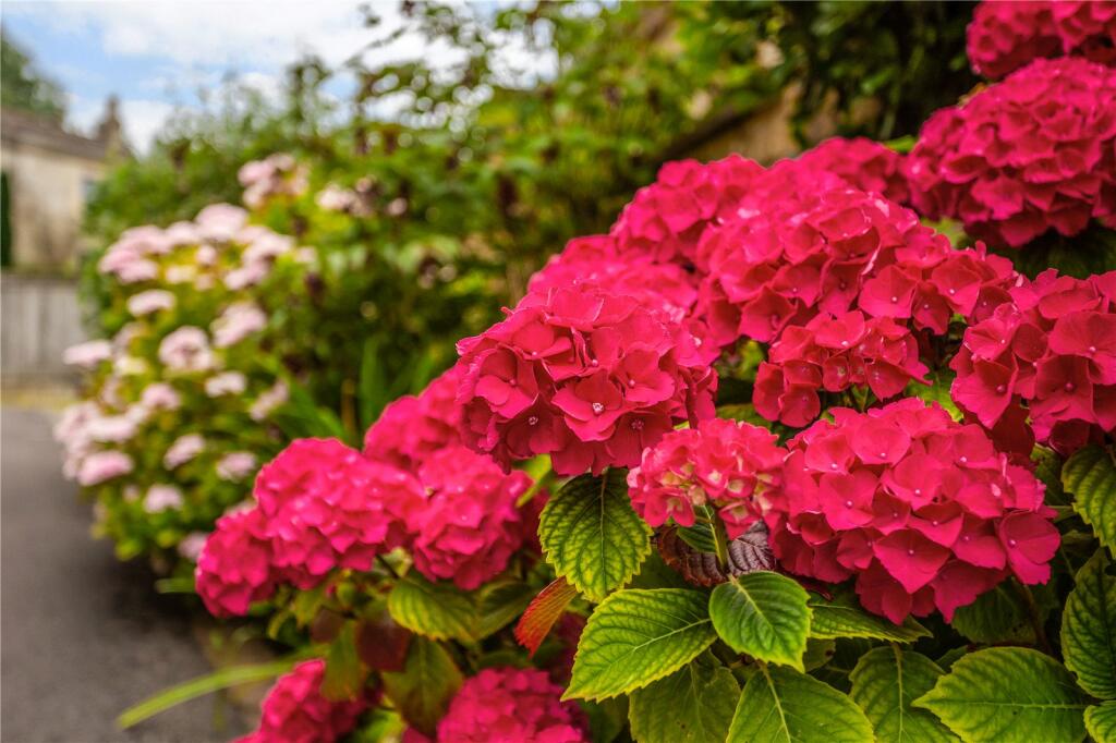 Additional image 19 of Entry Hill Park, Bath, BA2