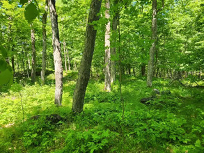 Additional image 4 of 0 McDonald's Corners Road County Road 12