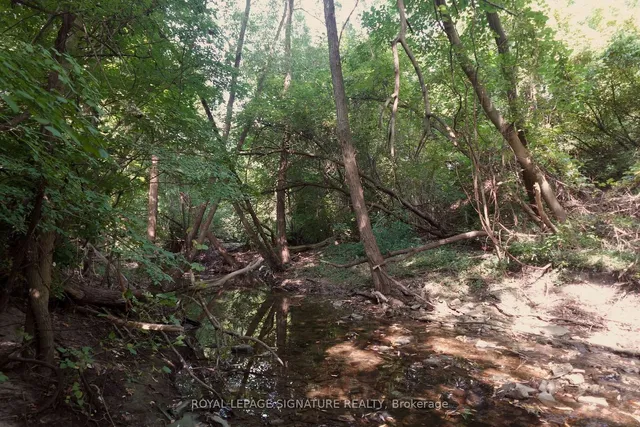 Additional image 39 of 75 Leggett Ave